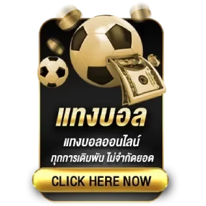 E ZPLAY42 หวยแท้